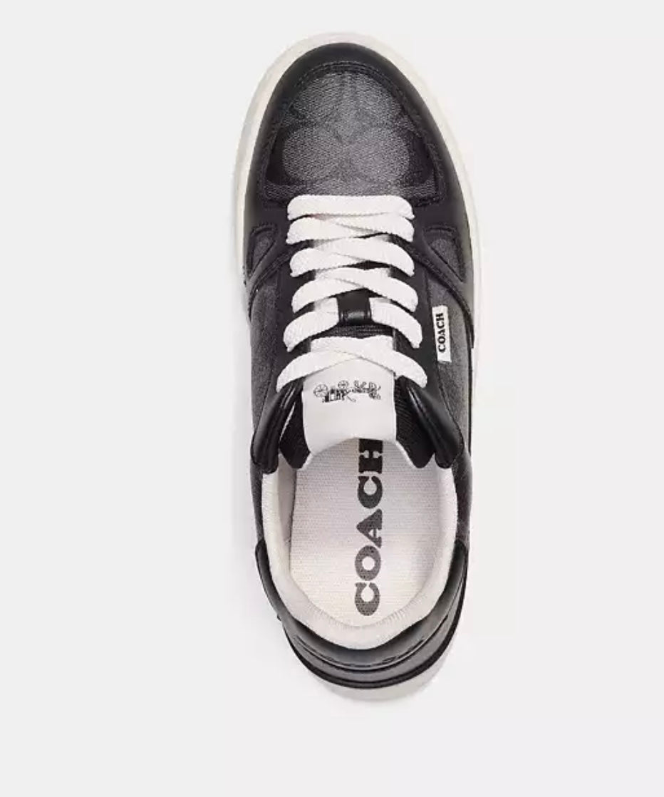 Clip Court Low Top Sneaker In Signature Canvas Charcoal/Black