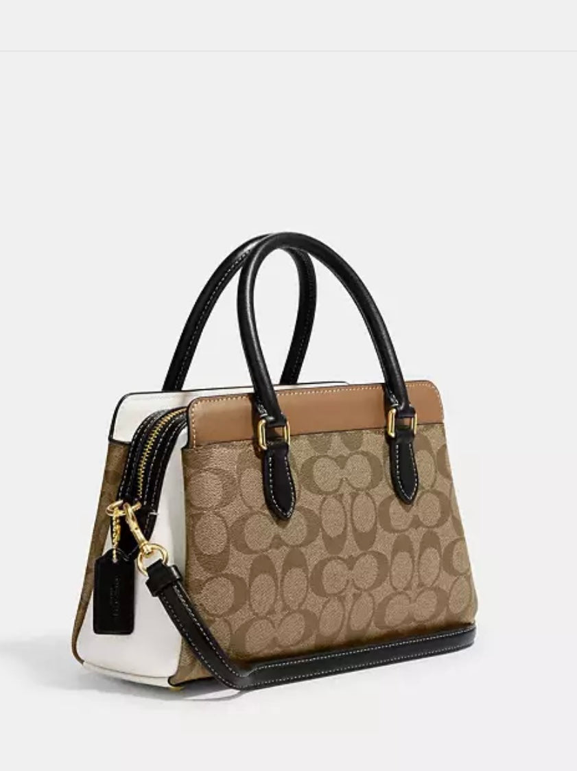 Mini Darcie Carryall Bag In Colorblock Signature Canvas