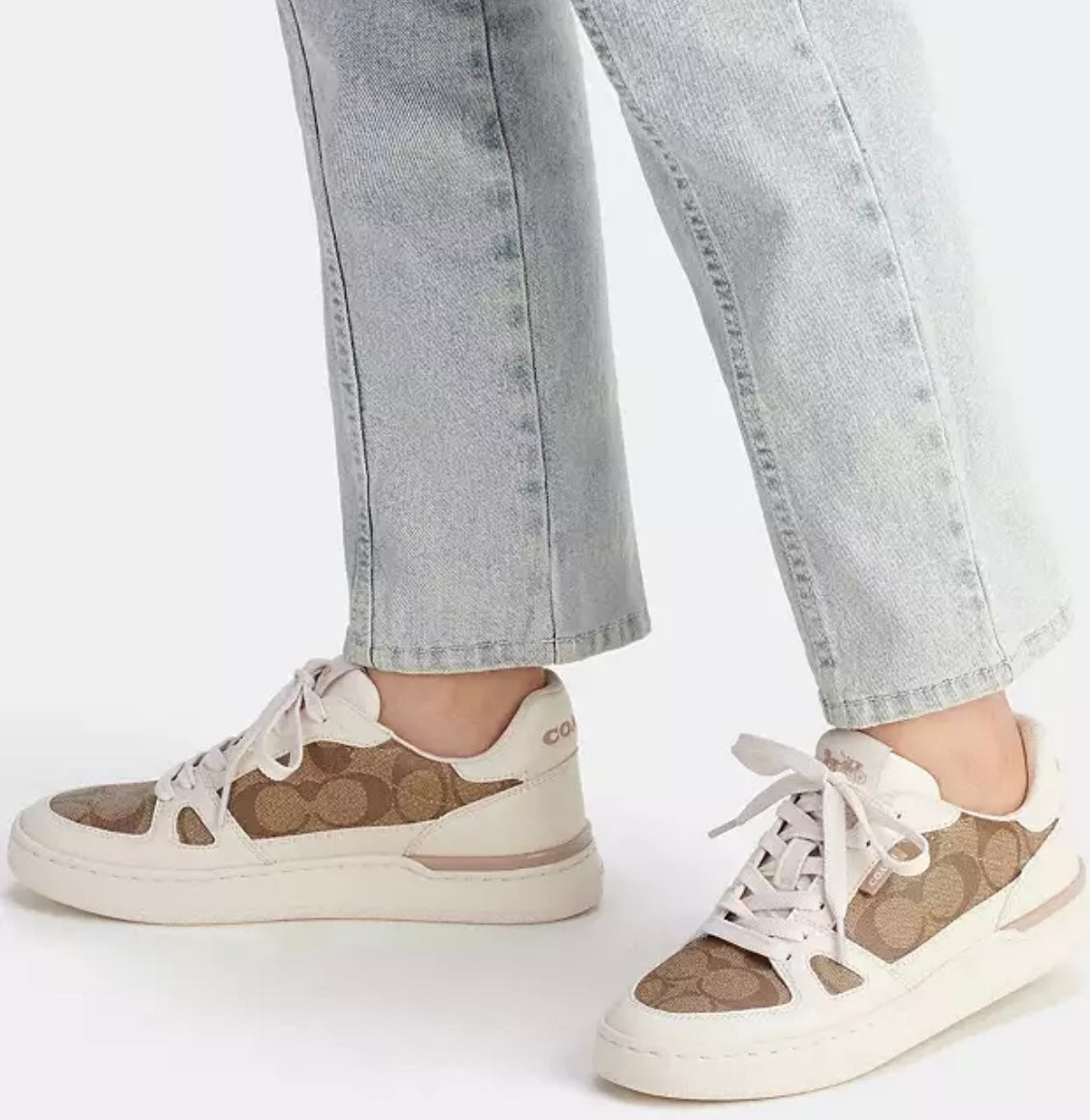 Clip Court Low Top Sneaker In Signature Canvas Khaki/Chalk