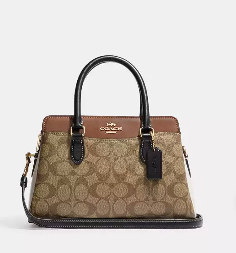 Mini Darcie Carryall Bag In Colorblock Signature Canvas