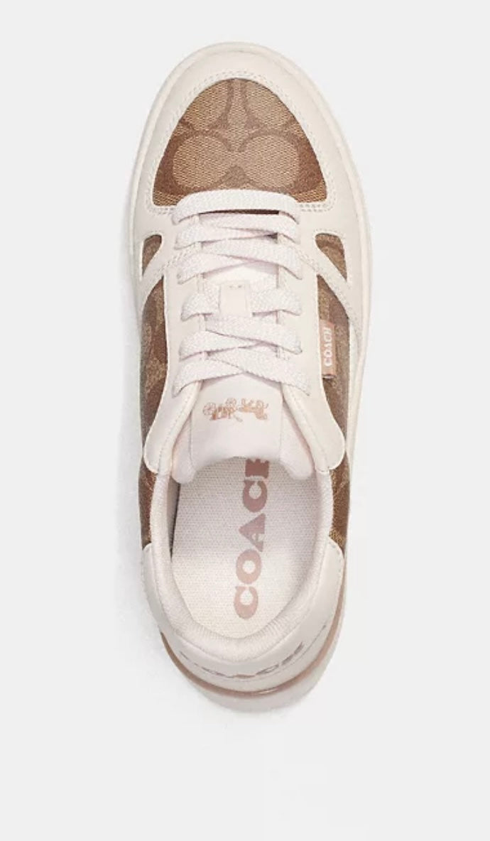Clip Court Low Top Sneaker In Signature Canvas Khaki/Chalk