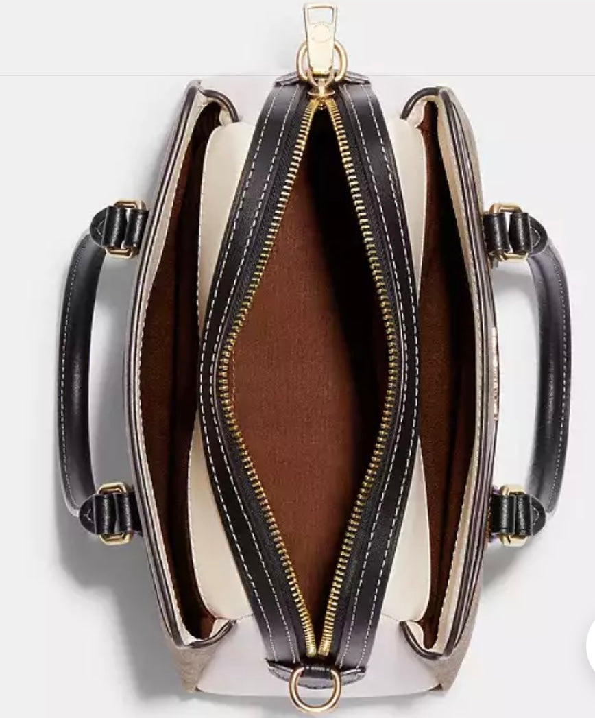 Mini Darcie Carryall Bag In Colorblock Signature Canvas