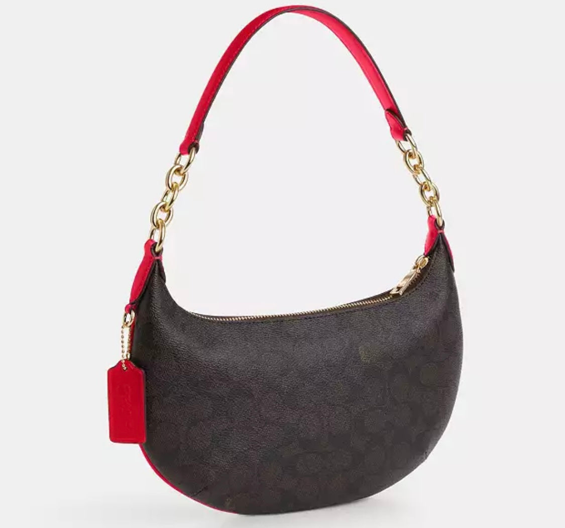 Payton Hobo Bag In Signature