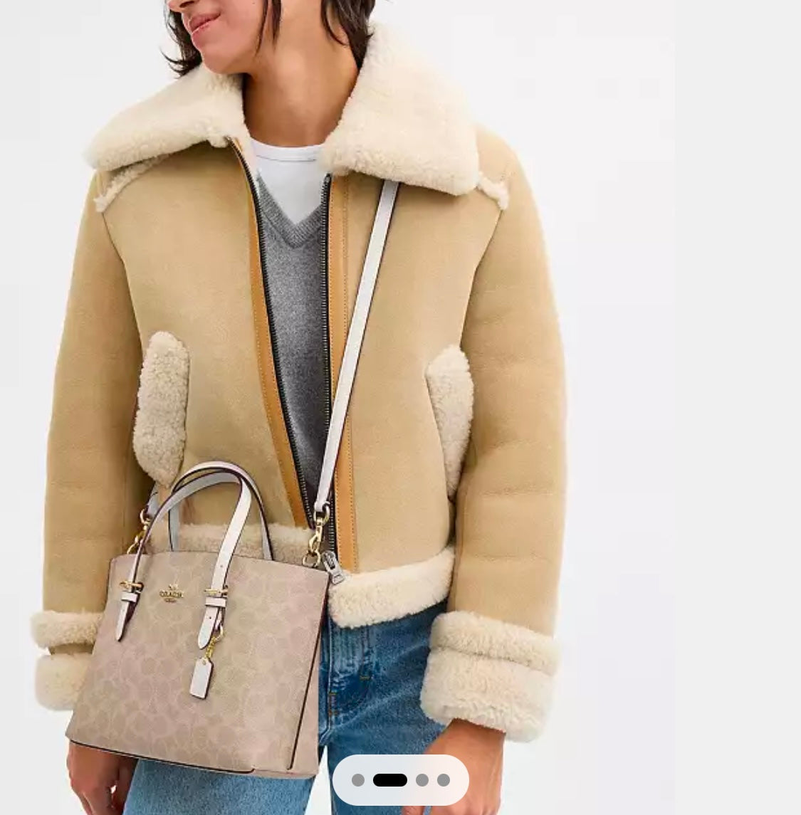 Mollie Tote Bag 25 In Signature Canvas Renkler➡️