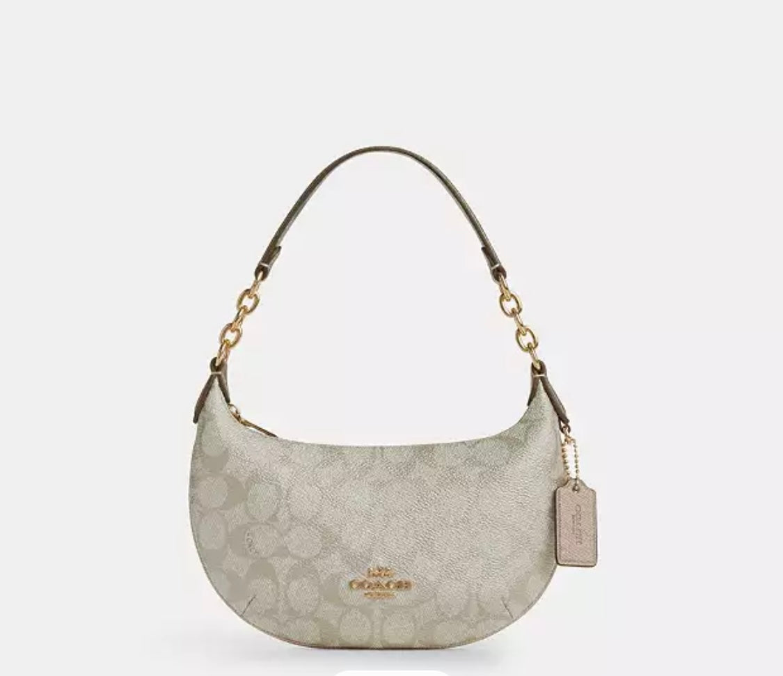 Payton Hobo Bag In Signature