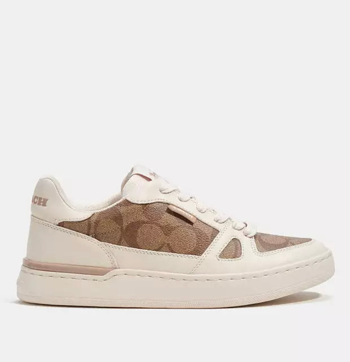 Clip Court Low Top Sneaker In Signature Canvas Khaki/Chalk