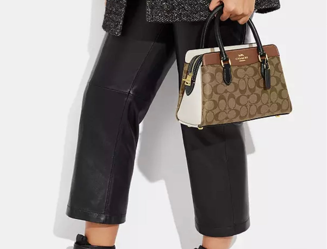 Mini Darcie Carryall Bag In Colorblock Signature Canvas