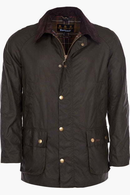 Men Ashby waxed Jacket /Olive color