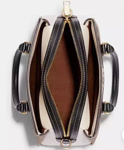 Mini Darcie Carryall Bag In Colorblock Signature Canvas